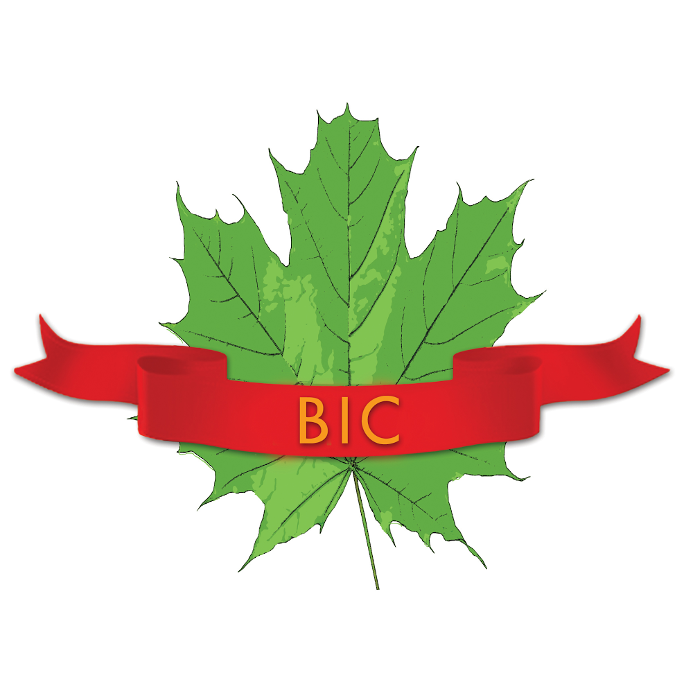 Bassi Immigration Consultancy (BIC Canada) - photo by Bassi Immigration Consultancy (BIC Canada) via Google