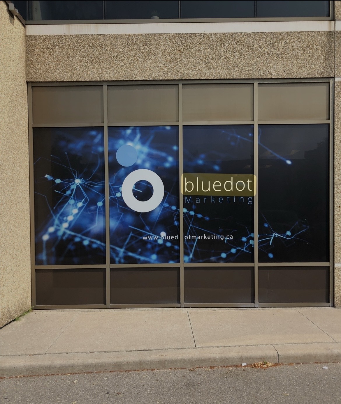 Bluedot Marketing - photo by Bluedot Marketing via Google
