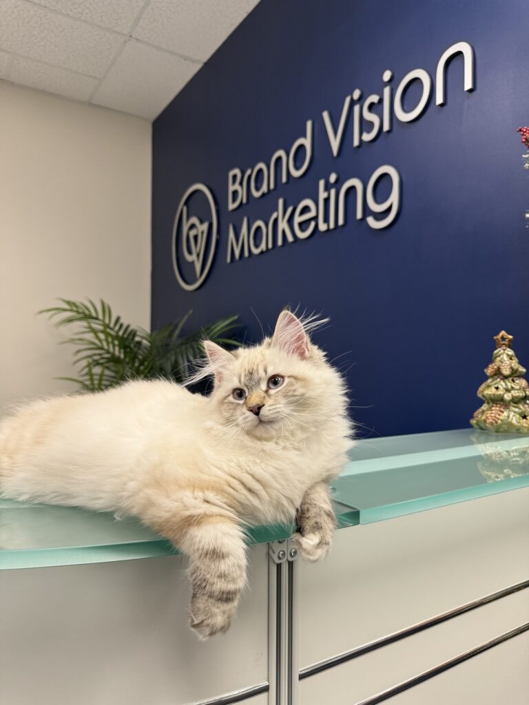 Brand Vision Marketing - Web Design & Branding - photo by Brand Vision via Google