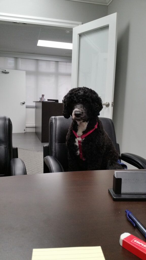 Dean Paley, CPA, CGA - photo by Dean Paley, CPA, CGA via Google