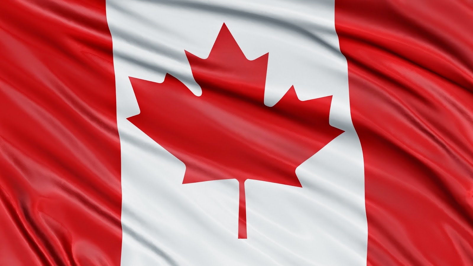 Eastman Law Office - Immigration Lawyer Canada - photo by Eastman Law Office - Immigration Lawyer Canada via Google
