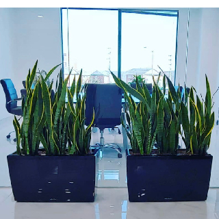Pauls Accounting And Tax Services - photo by Pauls Accounting And Tax Services via Google