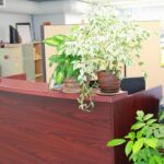 Piligrim Accounting - photo by Piligrim Accounting via Google