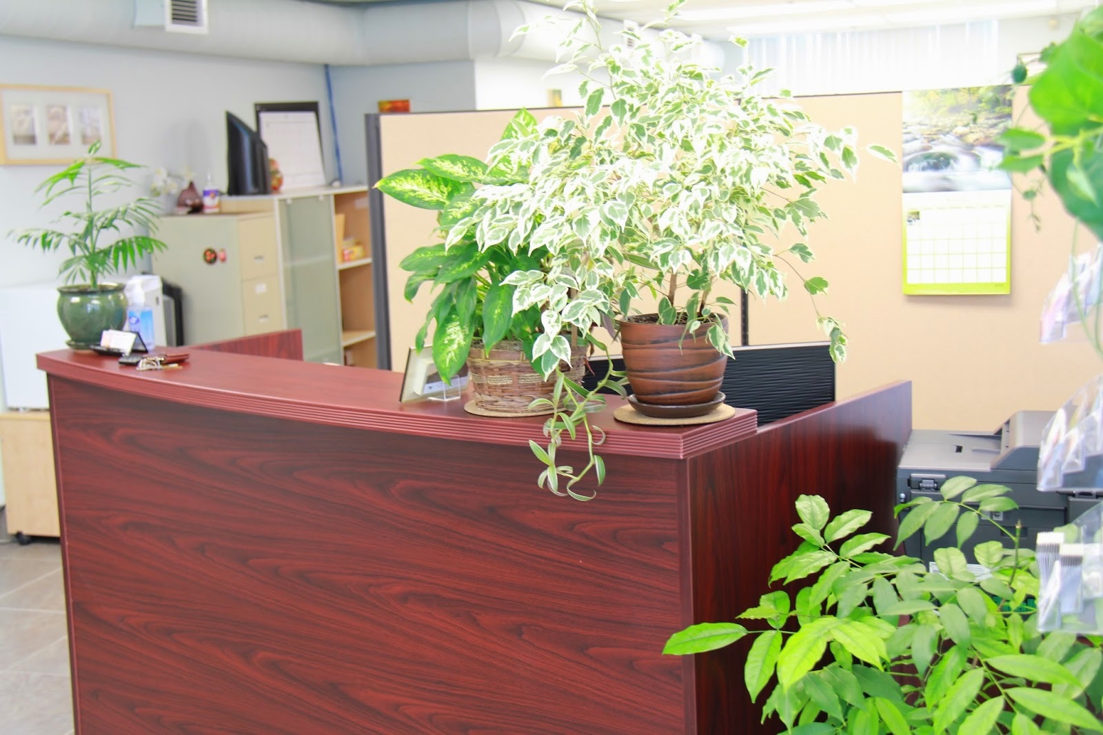 Piligrim Accounting - photo by Piligrim Accounting via Google