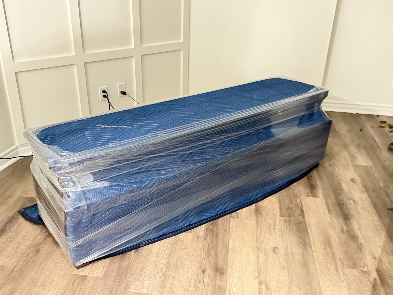 Professional Movers - photo by ancy abraham via Google
