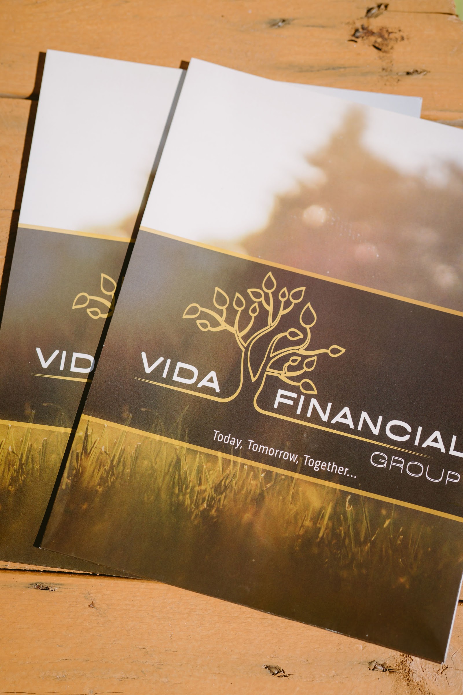 Vida Financial Group Inc. - photo by Michael Wine via Google