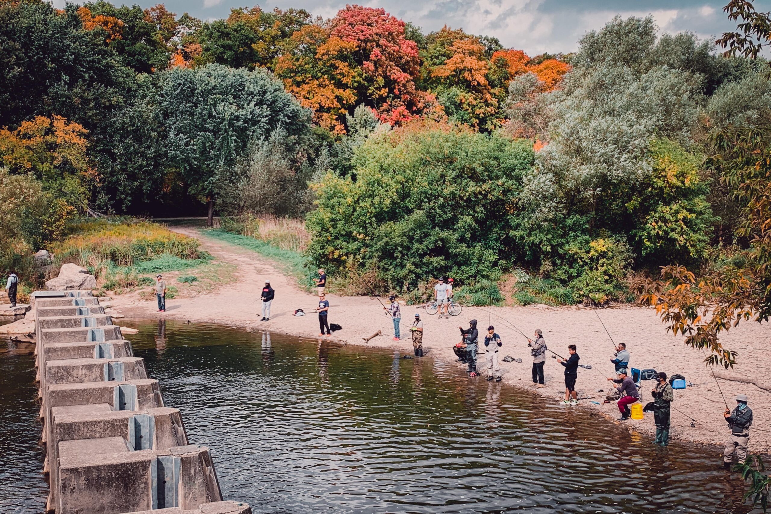 Erindale Park