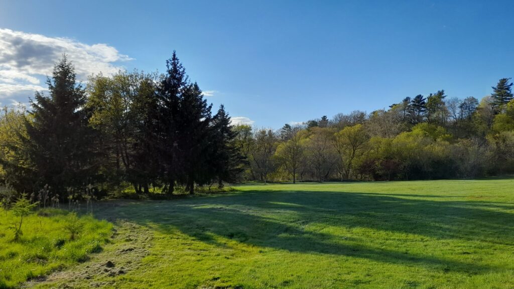 Erindale Park photo 1