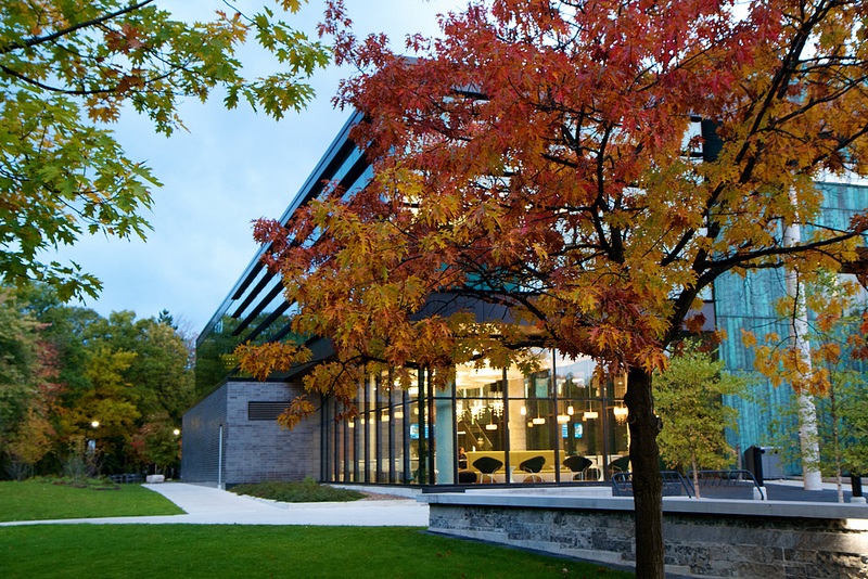 University of Toronto Mississauga photo 3